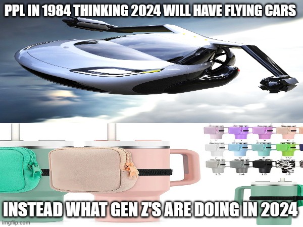 Aren't water bottles supposed to go in backpacks? | PPL IN 1984 THINKING 2024 WILL HAVE FLYING CARS; INSTEAD WHAT GEN Z'S ARE DOING IN 2024 | image tagged in gen z | made w/ Imgflip meme maker