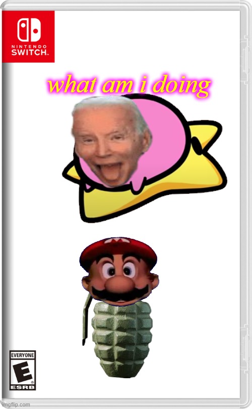 i should be sleeping | what am i doing | image tagged in nintendo switch | made w/ Imgflip meme maker