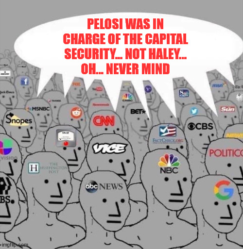 NPC media | PELOSI WAS IN CHARGE OF THE CAPITAL SECURITY... NOT HALEY...
OH... NEVER MIND | image tagged in npc media | made w/ Imgflip meme maker