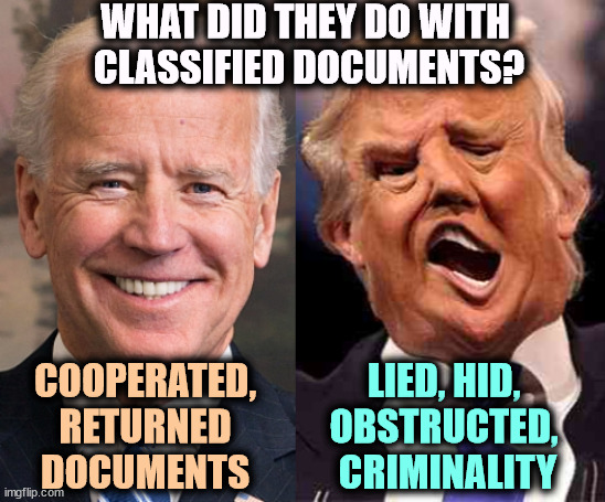 What's the difference? Here's the difference. | WHAT DID THEY DO WITH 
CLASSIFIED DOCUMENTS? COOPERATED, RETURNED DOCUMENTS; LIED, HID, 
OBSTRUCTED, 
CRIMINALITY | image tagged in biden solid stable trump acid drugs,biden,return,trump,hide,lie | made w/ Imgflip meme maker