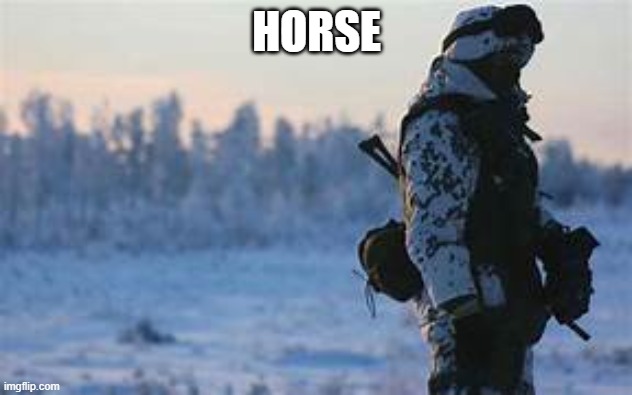 dunno | HORSE | image tagged in dunno | made w/ Imgflip meme maker