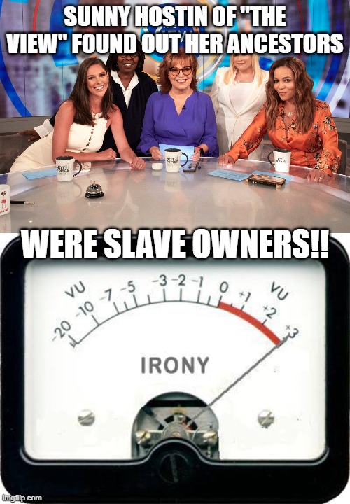 SUNNY HOSTIN OF "THE VIEW" FOUND OUT HER ANCESTORS; WERE SLAVE OWNERS!! | image tagged in the view,irony meter | made w/ Imgflip meme maker