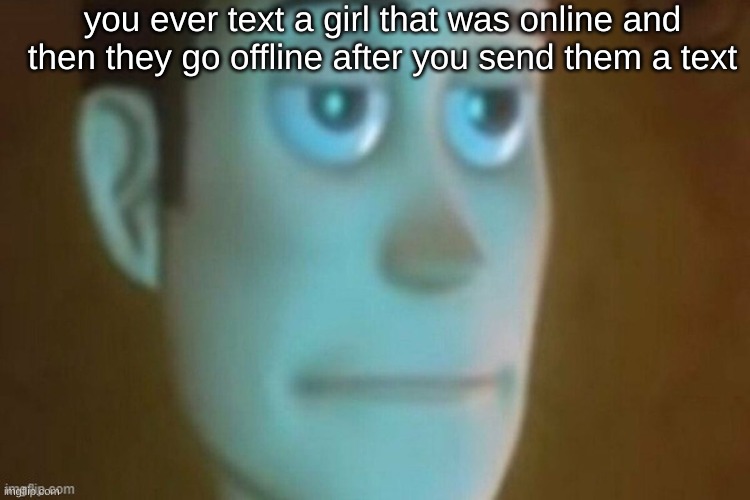 rizztraining order | you ever text a girl that was online and then they go offline after you send them a text | image tagged in woody stare | made w/ Imgflip meme maker