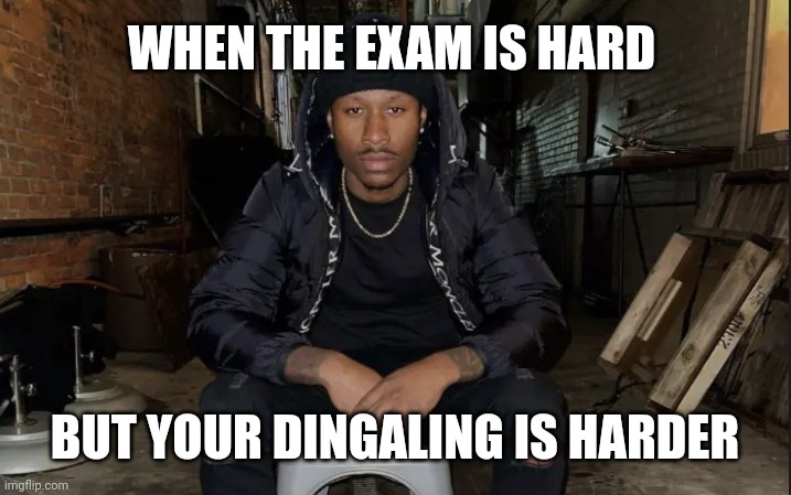 Funny ahh meme about men | WHEN THE EXAM IS HARD; BUT YOUR DINGALING IS HARDER | image tagged in exam | made w/ Imgflip meme maker