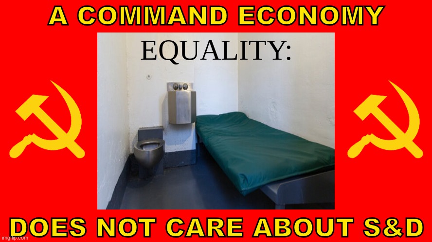 Command Economies | A COMMAND ECONOMY; EQUALITY:; DOES NOT CARE ABOUT S&D | image tagged in usa,politics,socialism,communism,marxism | made w/ Imgflip meme maker