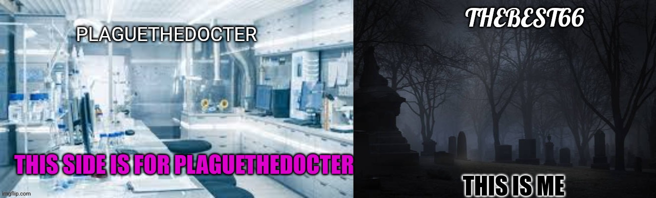 New template | THIS IS ME; THIS SIDE IS FOR PLAGUETHEDOCTER | image tagged in plaguethedocter and thebest66 | made w/ Imgflip meme maker