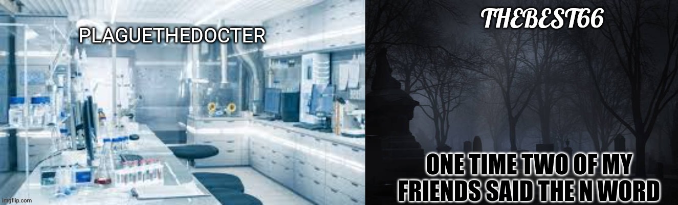 Plaguethedocter and Thebest66 | ONE TIME TWO OF MY FRIENDS SAID THE N WORD | image tagged in plaguethedocter and thebest66 | made w/ Imgflip meme maker