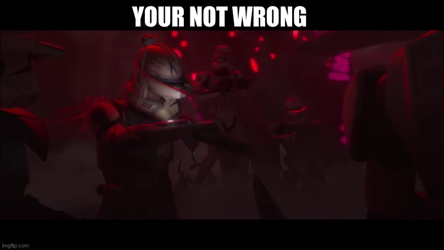 captain rex | YOUR NOT WRONG | image tagged in captain rex | made w/ Imgflip meme maker
