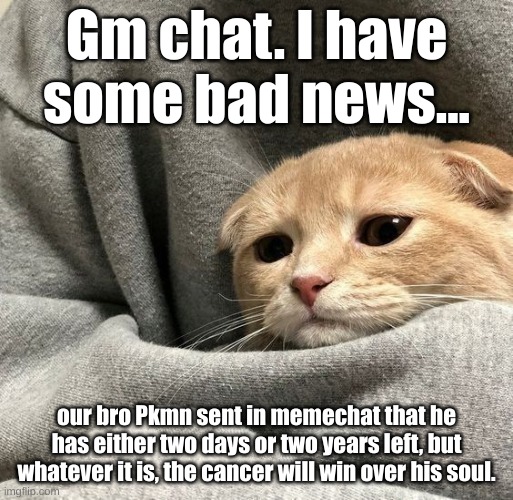 Gm chat. I have some bad news... our bro Pkmn sent in memechat that he has either two days or two years left, but whatever it is, the cancer will win over his soul. | made w/ Imgflip meme maker