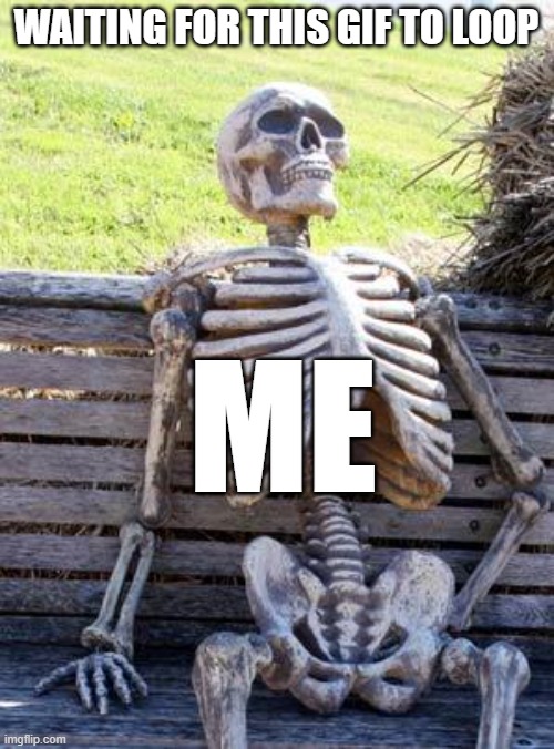 Waiting Skeleton Meme | WAITING FOR THIS GIF TO LOOP ME | image tagged in memes,waiting skeleton | made w/ Imgflip meme maker