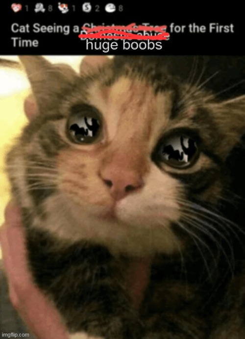 huge boobs | made w/ Imgflip meme maker