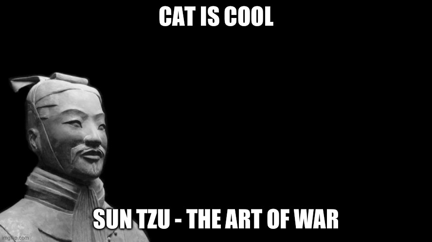 He ain’t wrong | CAT IS COOL; SUN TZU - THE ART OF WAR | image tagged in -sun tzu the art of war- | made w/ Imgflip meme maker