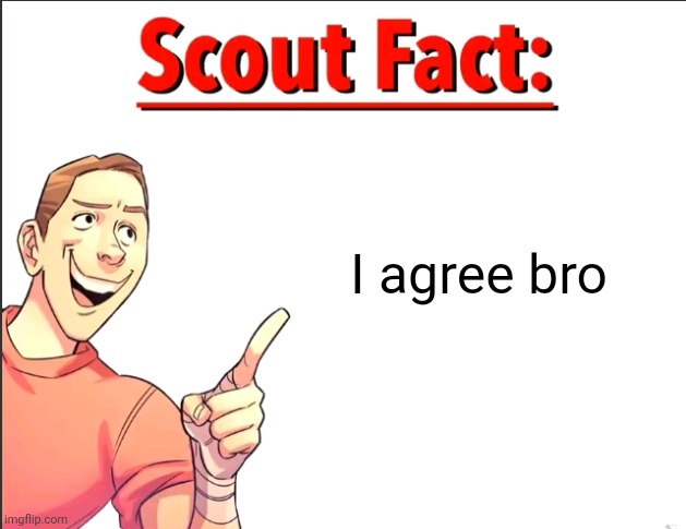 Scout Fact | I agree bro | image tagged in scout fact | made w/ Imgflip meme maker