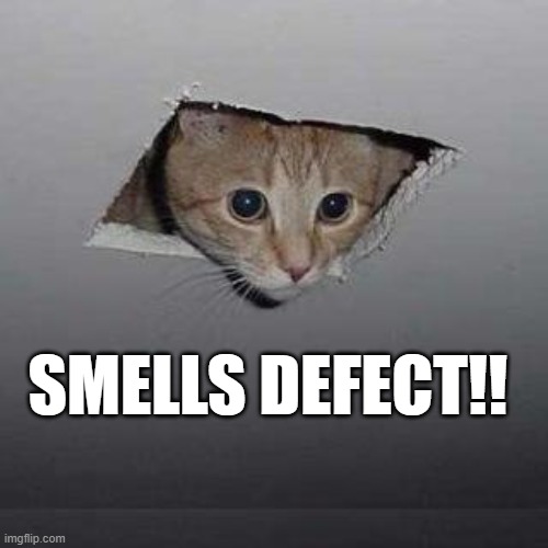 Smells Defect | SMELLS DEFECT!! | image tagged in memes,ceiling cat,qa,testing | made w/ Imgflip meme maker