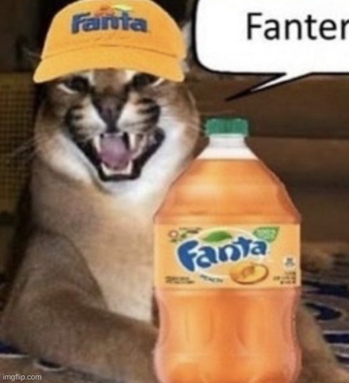 image tagged in fanta | made w/ Imgflip meme maker