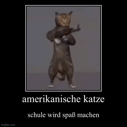 amerikanische katze | schule wird spaß machen | image tagged in funny,demotivationals | made w/ Imgflip demotivational maker