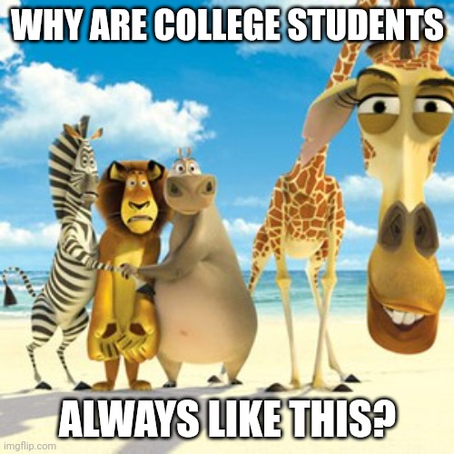 why are you white | WHY ARE COLLEGE STUDENTS ALWAYS LIKE THIS? | image tagged in why are you white | made w/ Imgflip meme maker