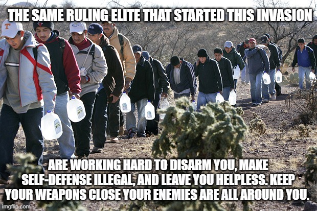 Ban whatever you want, we are staying armed and ready. | THE SAME RULING ELITE THAT STARTED THIS INVASION; ARE WORKING HARD TO DISARM YOU, MAKE SELF-DEFENSE ILLEGAL, AND LEAVE YOU HELPLESS. KEEP YOUR WEAPONS CLOSE YOUR ENEMIES ARE ALL AROUND YOU. | image tagged in illegal immigrants crossing border,2nd amendment,invasion,dangerous illegals,self defense,this we will defend | made w/ Imgflip meme maker