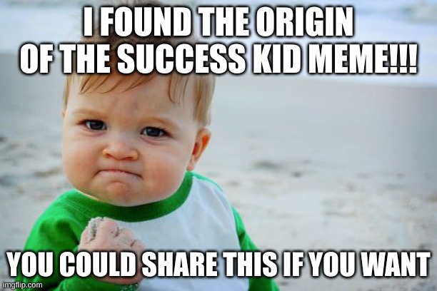 Origin 1 | I FOUND THE ORIGIN OF THE SUCCESS KID MEME!!! YOU COULD SHARE THIS IF YOU WANT | image tagged in memes,success kid original | made w/ Imgflip meme maker