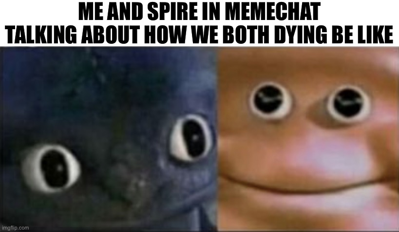 Terminal illness bros | ME AND SPIRE IN MEMECHAT TALKING ABOUT HOW WE BOTH DYING BE LIKE | image tagged in blank stare dragon | made w/ Imgflip meme maker