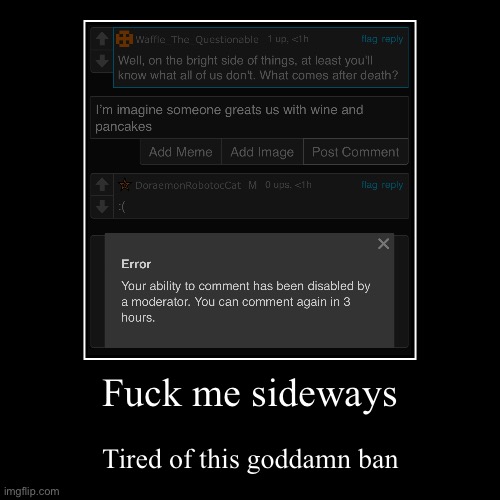 Fuck me sideways | Tired of this goddamn ban | image tagged in funny,demotivationals | made w/ Imgflip demotivational maker