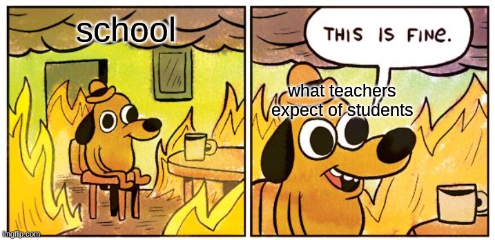 This Is Fine | school; what teachers expect of students | image tagged in memes,this is fine | made w/ Imgflip meme maker