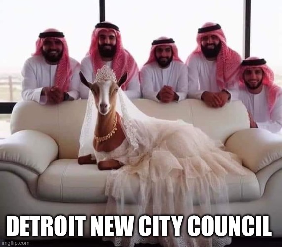 The mo mo’s take over | DETROIT NEW CITY COUNCIL | image tagged in ab ro ga tion | made w/ Imgflip meme maker