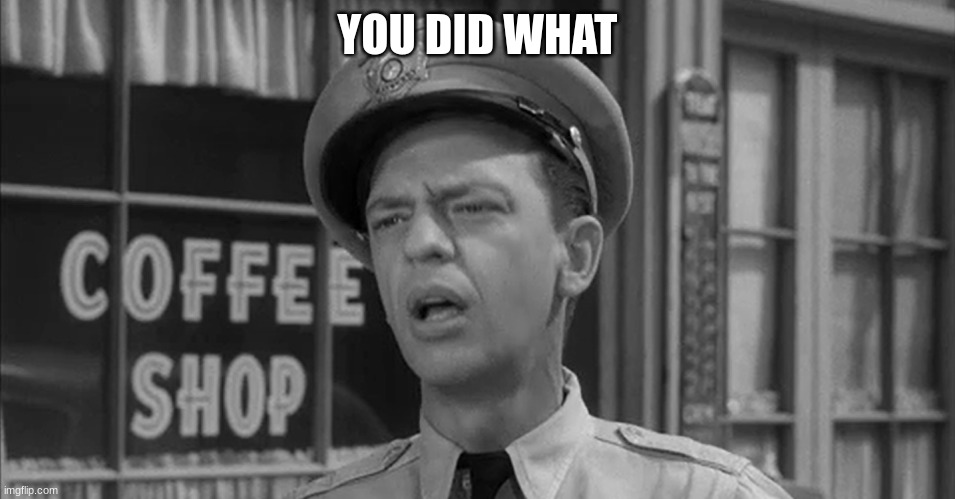 barney fife | YOU DID WHAT | image tagged in barney fife | made w/ Imgflip meme maker