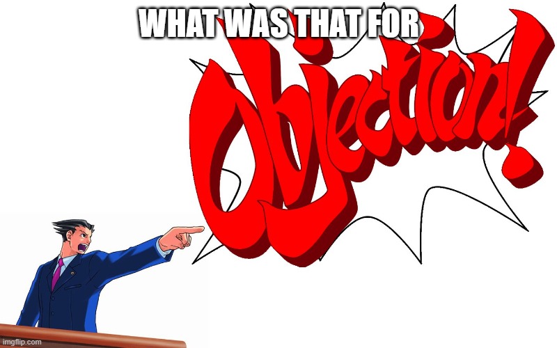 OBJECTION! | WHAT WAS THAT FOR | image tagged in objection | made w/ Imgflip meme maker