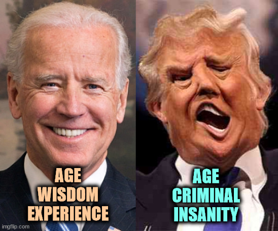 For a return to normalcy, Biden's the one. | AGE
CRIMINAL
INSANITY; AGE
WISDOM
EXPERIENCE | image tagged in biden solid stable trump acid drugs,biden,wise,trump,stupid,crazy | made w/ Imgflip meme maker