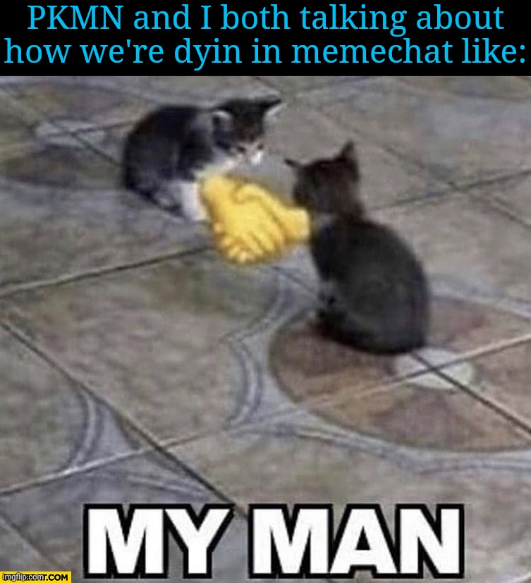Like it's not funny but it's so memeable | PKMN and I both talking about how we're dyin in memechat like: | image tagged in cats shaking hands | made w/ Imgflip meme maker
