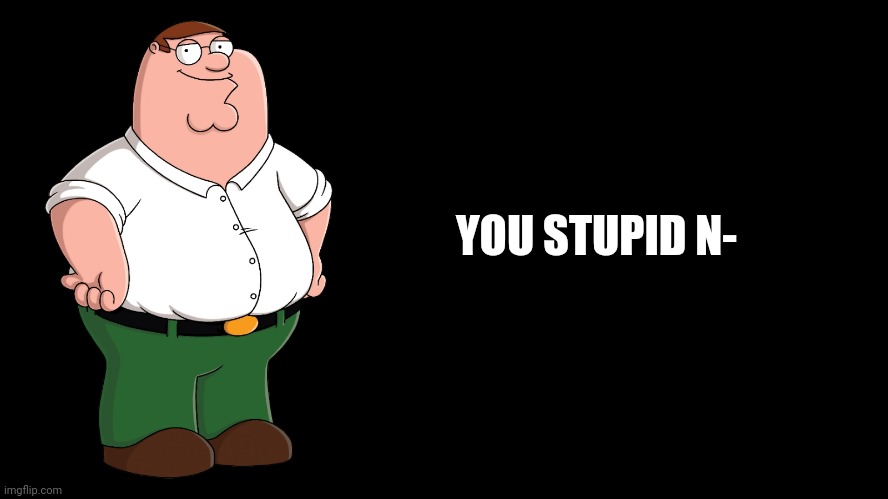 Peter Griffin explains | YOU STUPID N- | image tagged in peter griffin explains | made w/ Imgflip meme maker