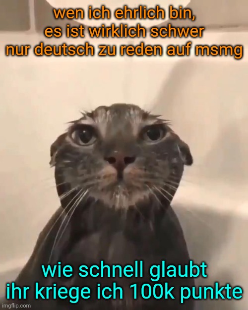 Wirklich bekifftes Meme