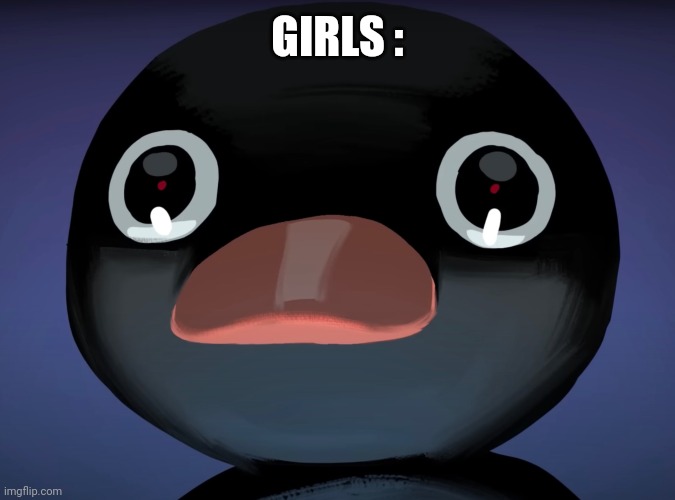 Pingu stare | GIRLS : | image tagged in pingu stare | made w/ Imgflip meme maker