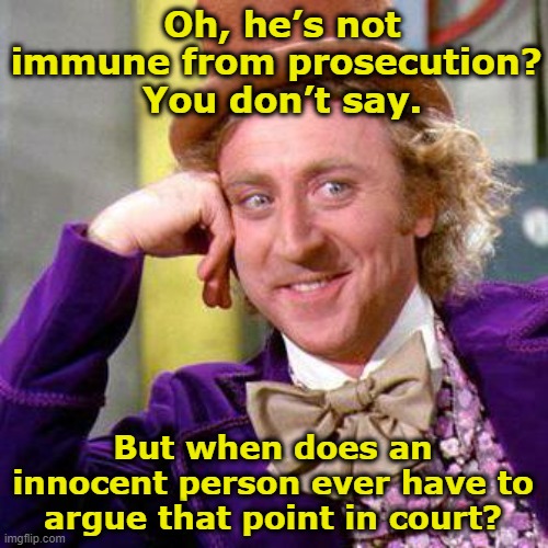 Trump Immunity from Prosecution | Oh, he’s not immune from prosecution?  You don’t say. But when does an innocent person ever have to argue that point in court? | image tagged in willy wonka blank,trump,maga,right wing,nevertrump meme,deplorable donald | made w/ Imgflip meme maker