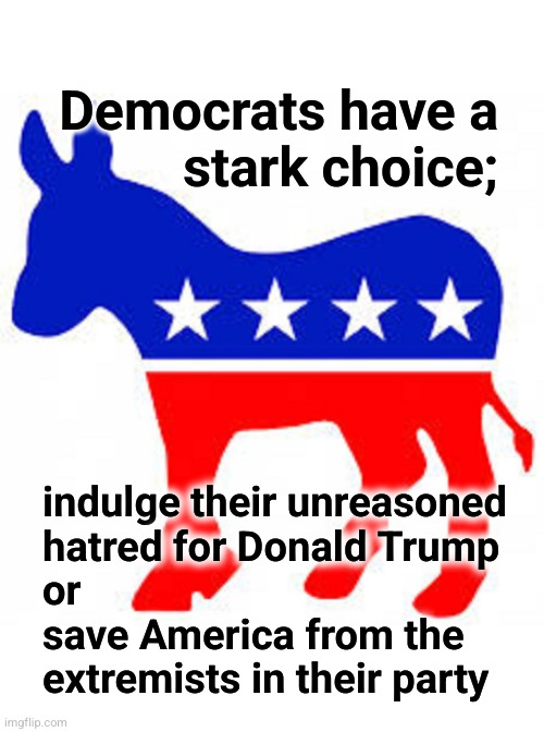 Democrats have a stark choice in November | Democrats have a
stark choice;; indulge their unreasoned
hatred for Donald Trump
or
save America from the
extremists in their party | image tagged in democrat donkey,trump,biden | made w/ Imgflip meme maker
