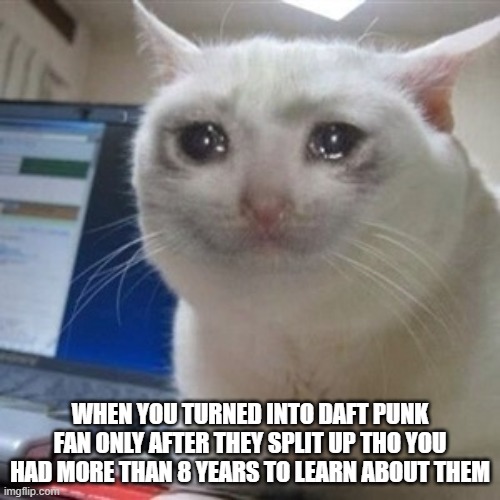 When you got recently into Daft Punk | WHEN YOU TURNED INTO DAFT PUNK FAN ONLY AFTER THEY SPLIT UP THO YOU HAD MORE THAN 8 YEARS TO LEARN ABOUT THEM | image tagged in crying cat,daft punk | made w/ Imgflip meme maker