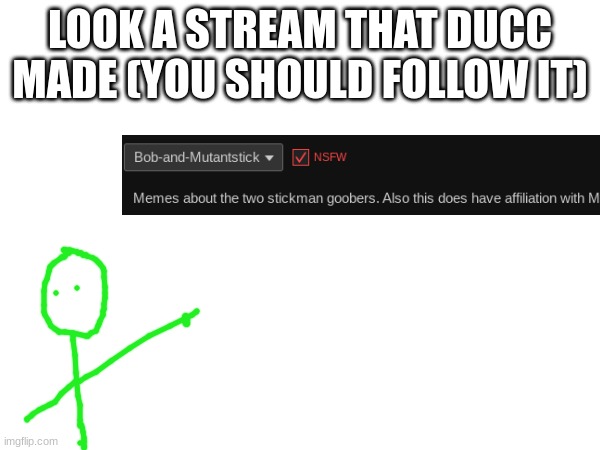 LOOK A STREAM THAT DUCC MADE (YOU SHOULD FOLLOW IT) | made w/ Imgflip meme maker