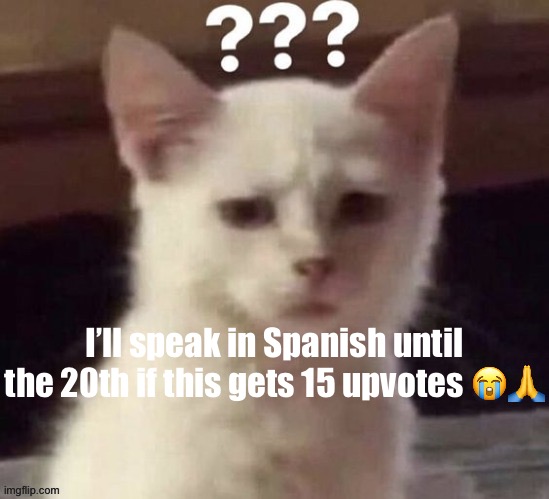 pls dont get it there | I’ll speak in Spanish until the 20th if this gets 15 upvotes 😭🙏 | made w/ Imgflip meme maker