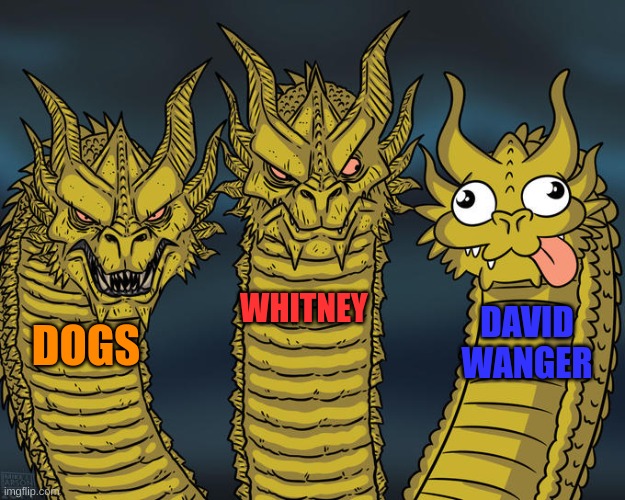 Three-headed Dragon | WHITNEY; DAVID WANGER; DOGS | image tagged in three-headed dragon | made w/ Imgflip meme maker