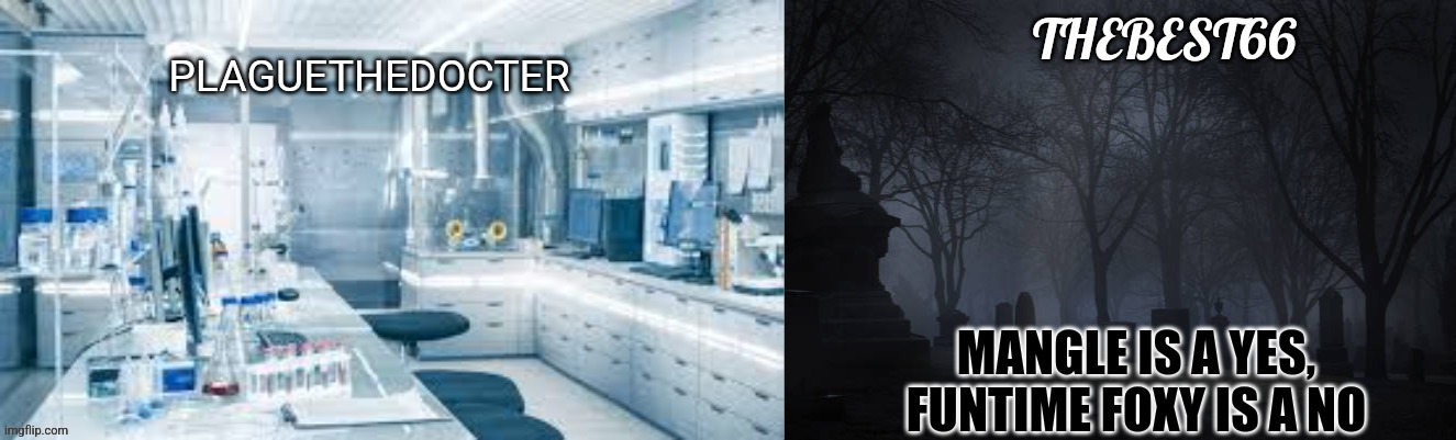 Learn the difference | MANGLE IS A YES, FUNTIME FOXY IS A NO | image tagged in plaguethedocter and thebest66 | made w/ Imgflip meme maker