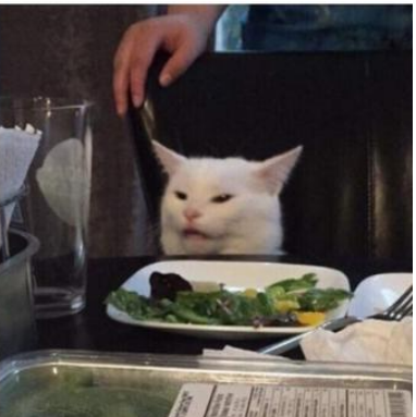 High Quality Confused Cat Blank Meme Template