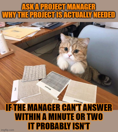 This #lolcat wonders if every project is actually needed | ASK A PROJECT MANAGER
WHY THE PROJECT IS ACTUALLY NEEDED; IF THE MANAGER CAN'T ANSWER
WITHIN A MINUTE OR TWO
IT PROBABLY ISN'T | image tagged in manager,management,lolcat,waste of money | made w/ Imgflip meme maker