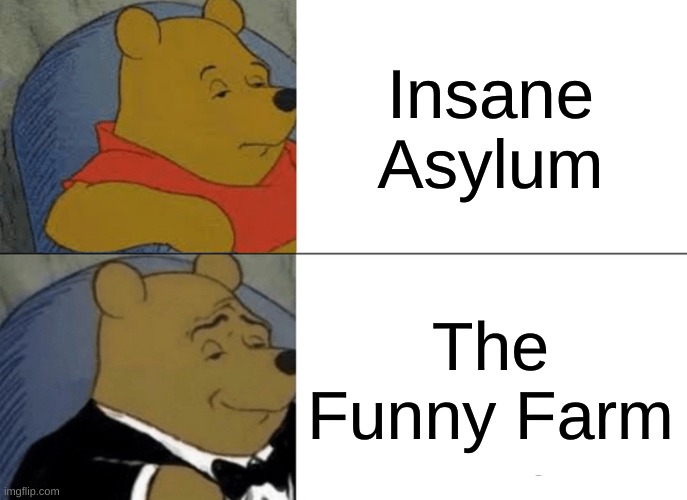 Tuxedo Winnie The Pooh | Insane Asylum; The Funny Farm | image tagged in memes,tuxedo winnie the pooh | made w/ Imgflip meme maker