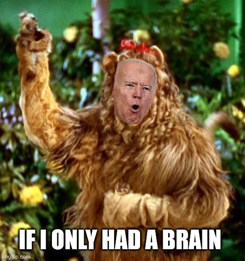 Cowardly Lion | IF I ONLY HAD A BRAIN | image tagged in cowardly lion | made w/ Imgflip meme maker