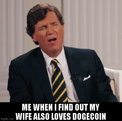 my wife loves dogecoin | ME WHEN I FIND OUT MY WIFE ALSO LOVES DOGECOIN | image tagged in funny memes,dogecoin | made w/ Imgflip meme maker