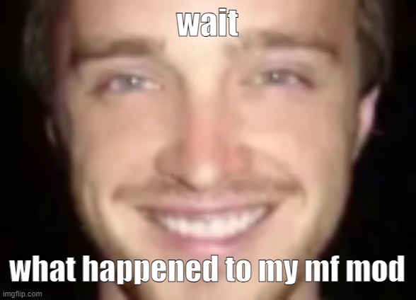 jesse painman | wait; what happened to my mf mod | image tagged in jesse painman | made w/ Imgflip meme maker