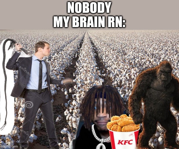 NOBODY
MY BRAIN RN: | image tagged in monkey,kfc | made w/ Imgflip meme maker