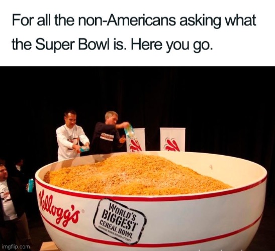 you’re welcome | image tagged in funny,meme,super bowl | made w/ Imgflip meme maker