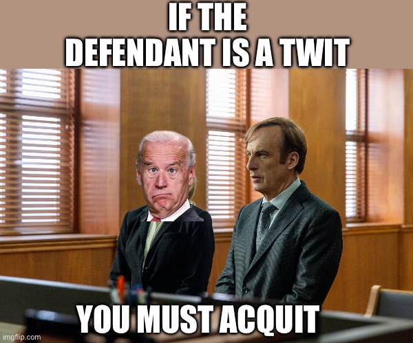 Yep | IF THE DEFENDANT IS A TWIT; YOU MUST ACQUIT | image tagged in democrats slow joe | made w/ Imgflip meme maker